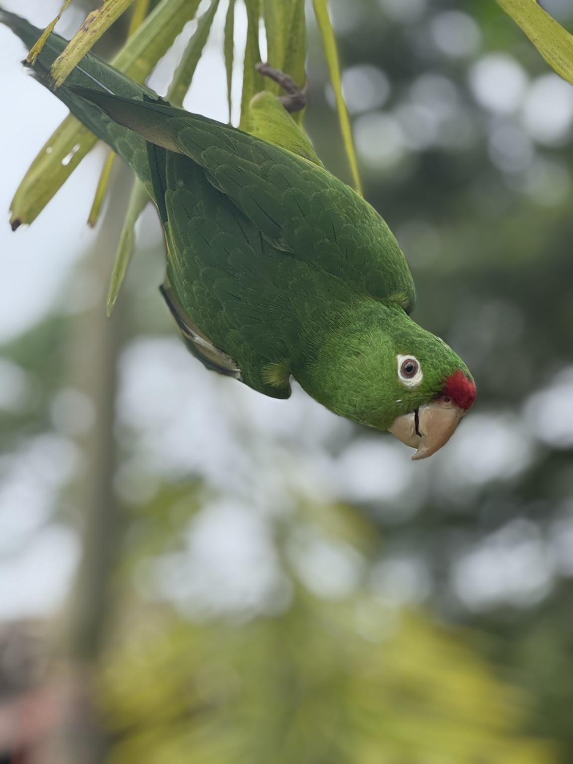 Panama group adventure