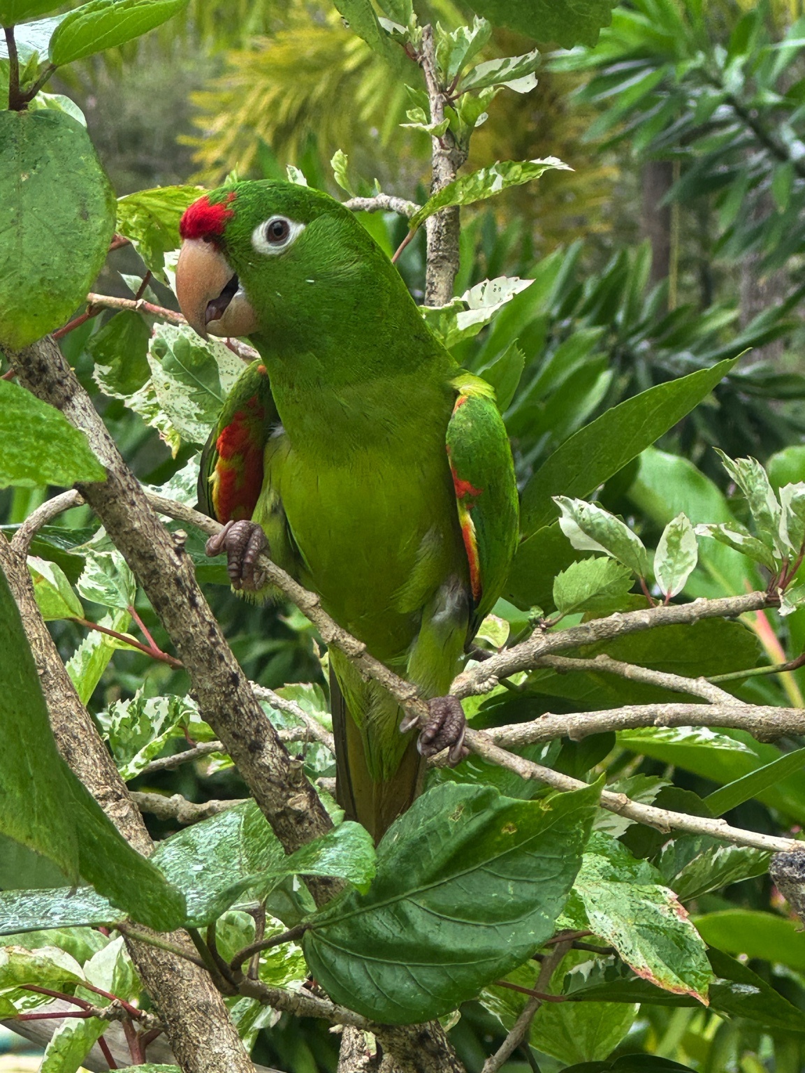 Panama group experience