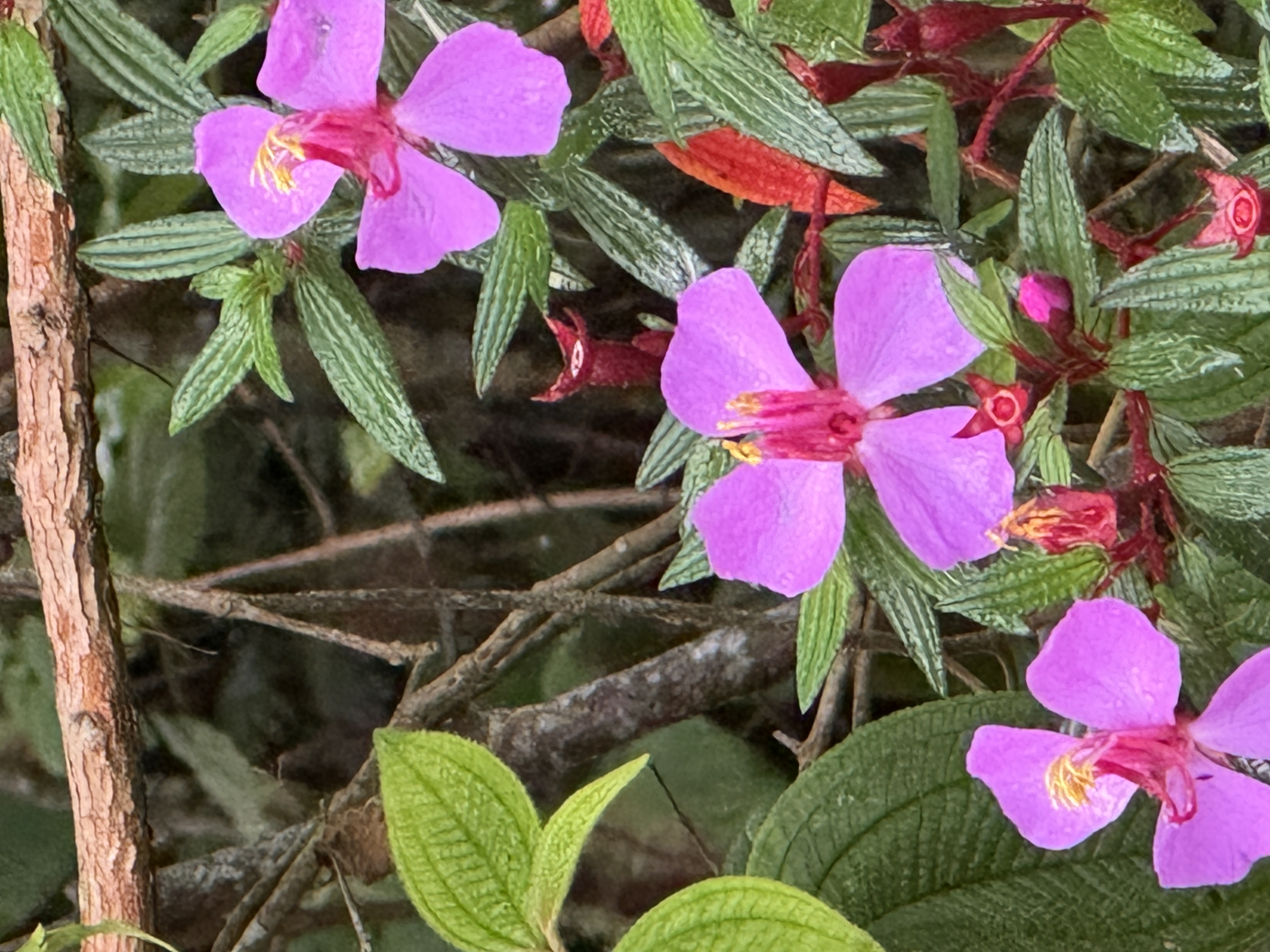 Panama wildlife and natural environment